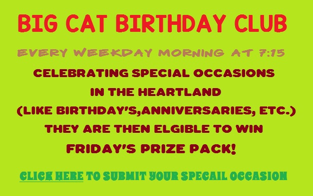 Big Cat Birthday Club